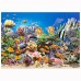 Puzzle 260 pièces : les couleurs de l'océan  Castorland    004008